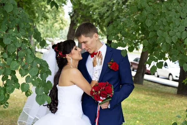 Menyasszony vőlegény óvatosan ölel — Stock Fotó