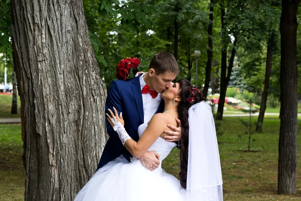 De bruid en bruidegom kussen — Stockfoto