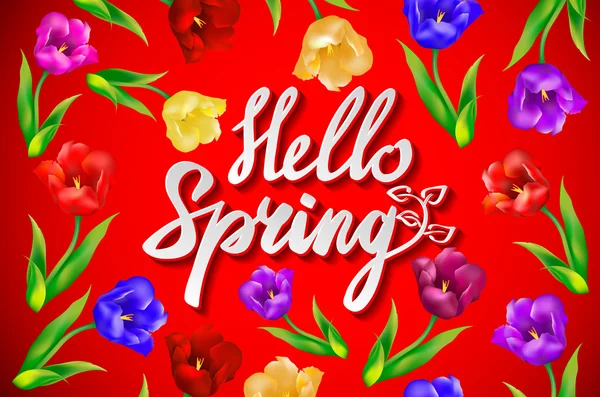 Olá Primavera frase vector lettering. Caligrafia desenhada à mão, fundo vermelho. tulipa —  Vetores de Stock