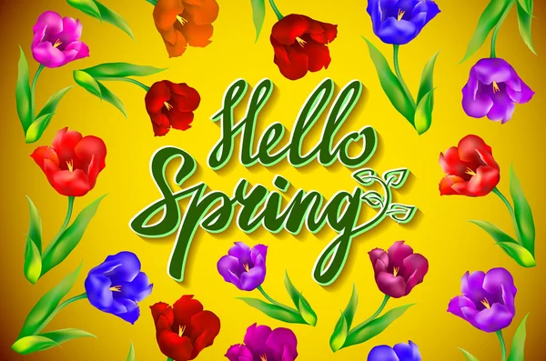 Hello Spring Poster Design in Realistic Colorful Vector Flowers Background with Vines for Spring Season (en inglés). Ilustración vectorial — Vector de stock