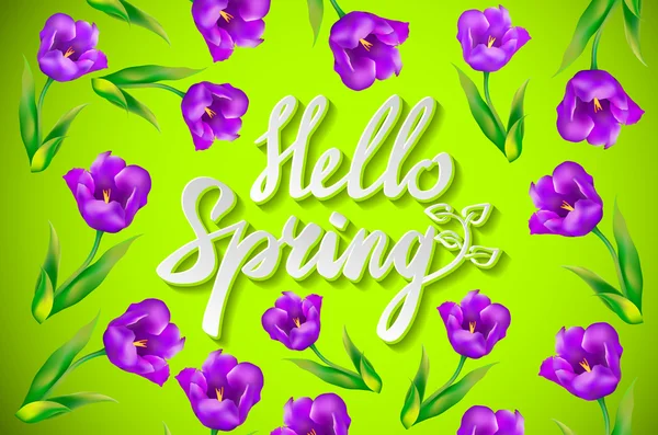 Hello Spring vector ontwerp met 3D realistische verse planten en bloemen elementen voor het lente seizoen. Vector illustratie — Stockvector