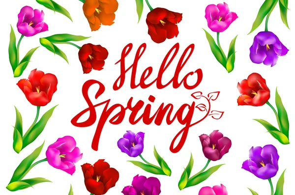 Bonjour lettrage vectoriel de phrase de printemps. Calligraphie dessinée à la main, fond blanc. tulipe rouge — Image vectorielle