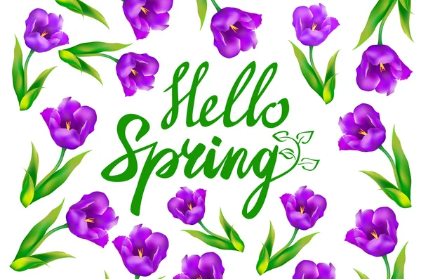 Olá texto de primavera com flores de tulipa violeta e borboletas — Vetor de Stock