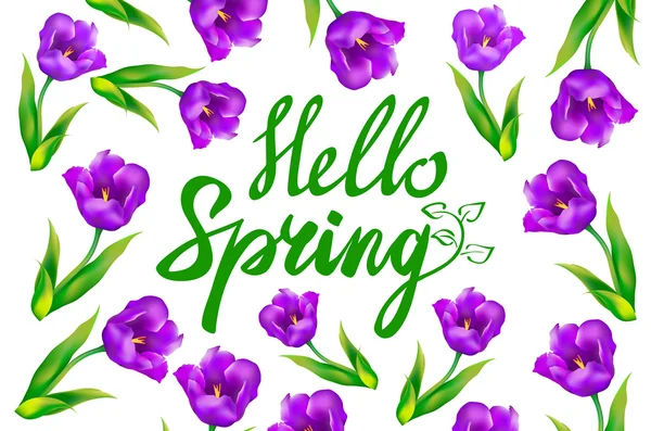 Hallo Frühling Text mit violetten Tulpenblumen und Schmetterlingen — Stockvektor