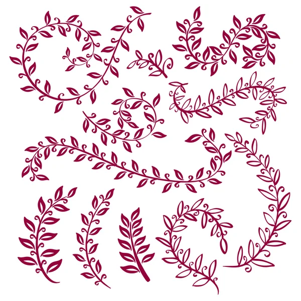 Pon coronas y laurel. Ramas vinosas pintadas a mano, hojas, hojas, elementos decorativos pétalos. Para plantilla de diseño, invitación. Pinceles esbozados a mano textura. Naturaleza, artículos orgánicos. Vector — Vector de stock