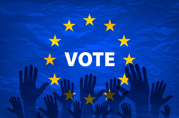 Euro vote flag. vote for the European choice — Stock Vector
