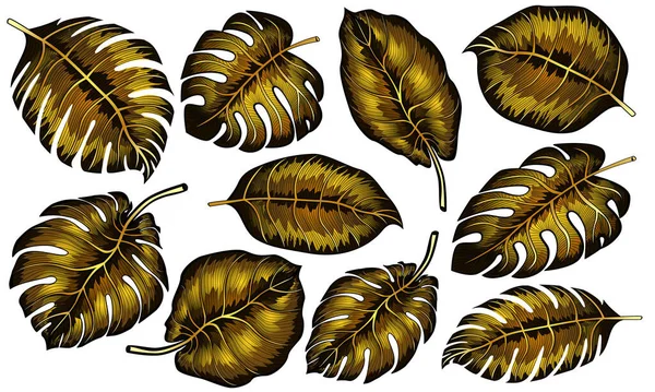 Set von tropischen Gold-Monstera-Blättern isoliert auf schwarzem Hintergrund. Vektorillustration. — Stockvektor