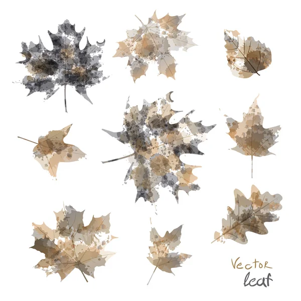 Vector acuarela otoño hojas arce hoja flora — Archivo Imágenes Vectoriales