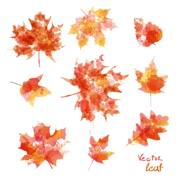 Vector aquarel herfst bladeren maple leaf flora — Stockvector