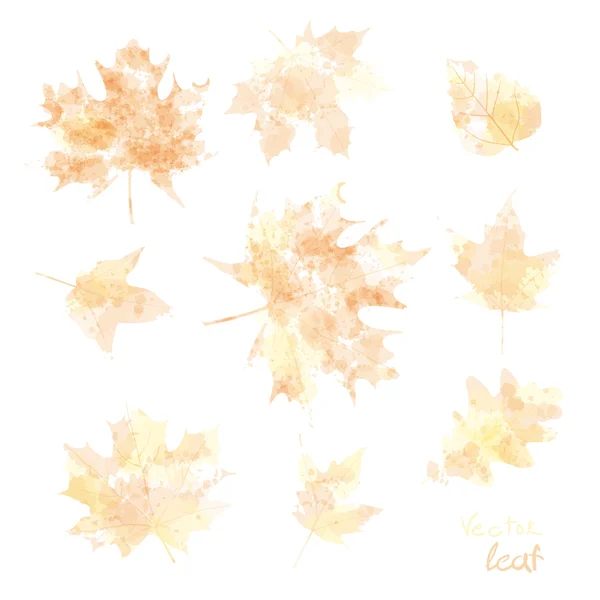 Vektorové akvarel podzimní listy javorového listu flóra — Stockový vektor