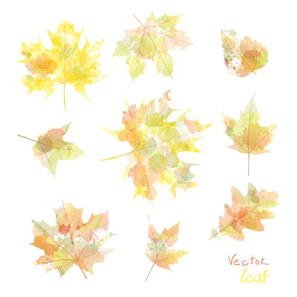 Vector aquarel herfst bladeren maple leaf flora — Stockvector