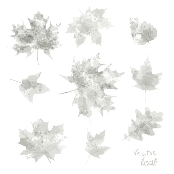 Vektor akvarell őszi levelek maple leaf Flóra — Stock Vector
