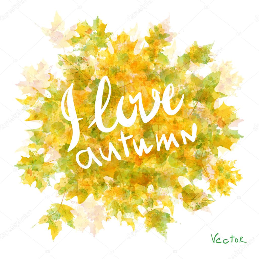 Vector watercolor autumn leaves maple leaf flora