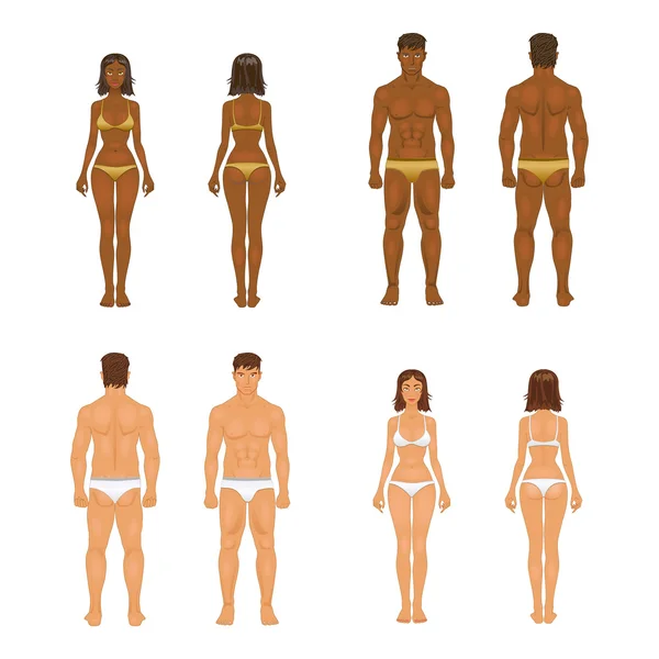 Vector young woman and guy in underwear. Body templates — Stock Vector