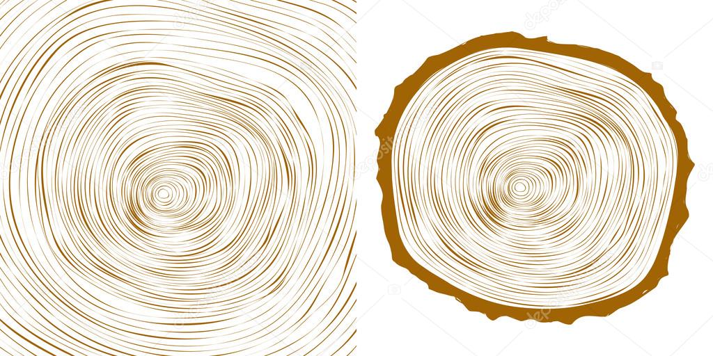 vector tree rings background and saw cut tree trunk