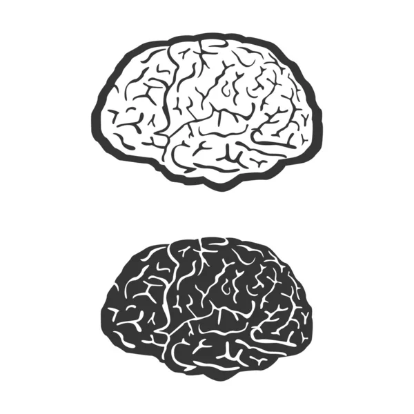 脑，矢量，人类，符号，医学，想一想图标, — 图库矢量图片