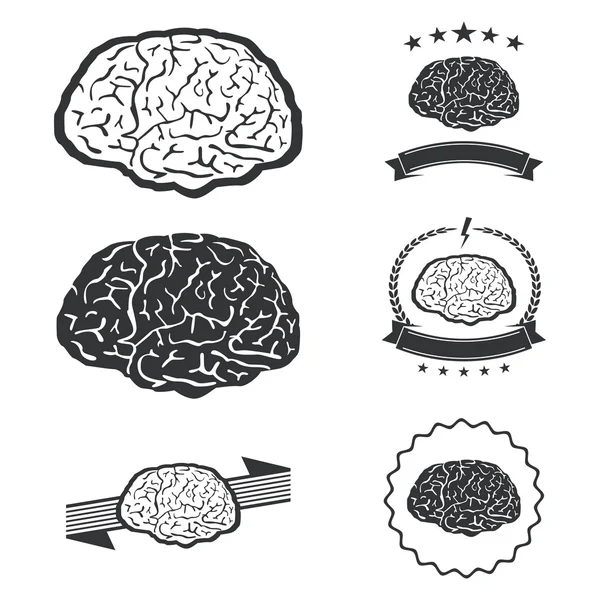 Vector illustration of brain designs iconic, ideas, memory, education, — Stock Vector