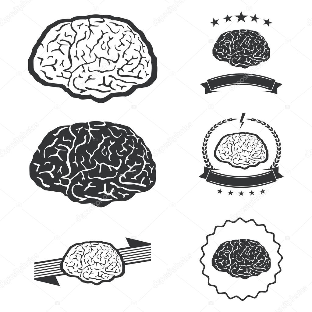Vector illustration of brain designs iconic, ideas, memory, education ...