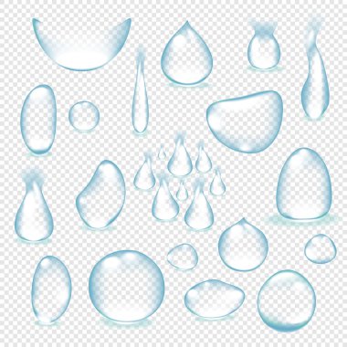 Saf berrak su damlaları izole edilmiş vektör çizimi