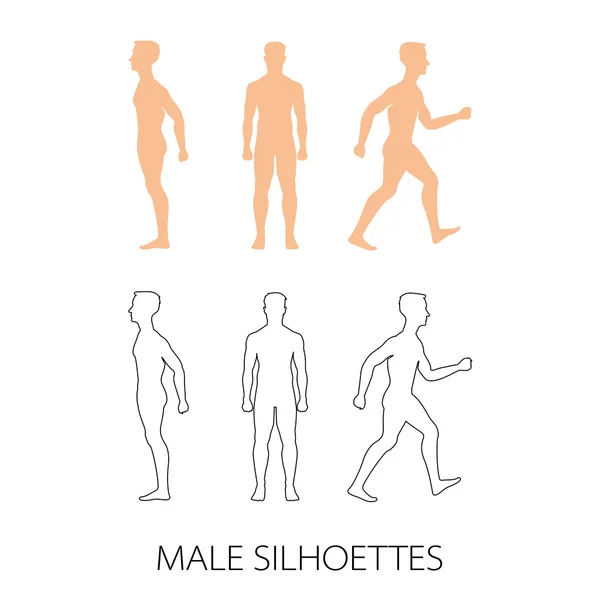 Siluetas masculinas delantera, trasera y lateral. Ilustración vectorial — Archivo Imágenes Vectoriales