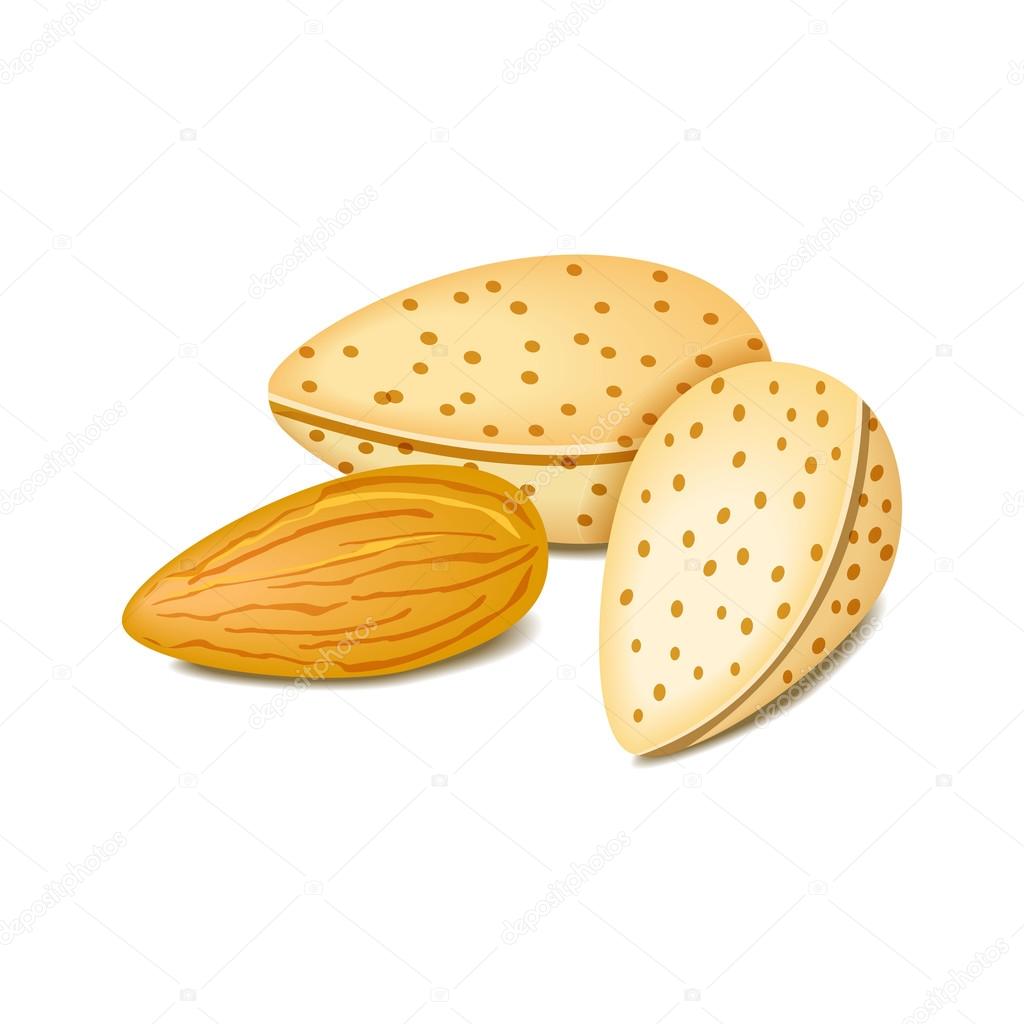 Almonds label - vector illustration