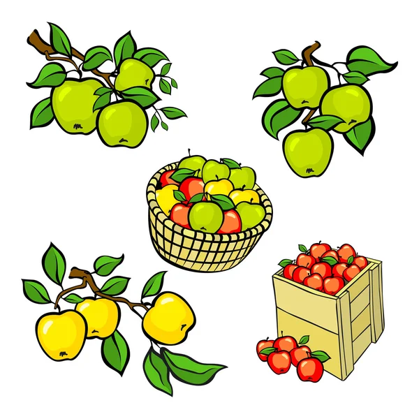 Ensemble de récolte de pommes colorées vintage. Vecteur EPS10 entièrement modifiable . — Image vectorielle