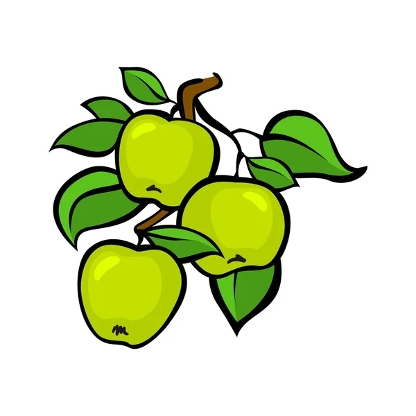 빈티지 화려한 사과 수확 설정합니다. 완전 편집 가능한 Eps10 벡터. — 스톡 벡터