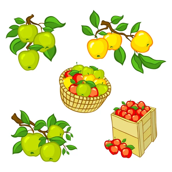 Conjunto de cosecha de manzana colorida vintage. vector EPS10 totalmente editable . — Archivo Imágenes Vectoriales