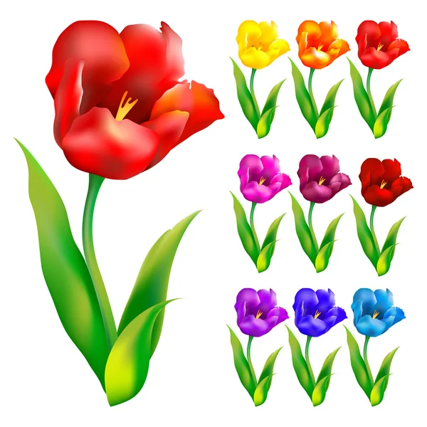 Kleurrijke bloem achtergrond. vectorillustratie. — Stockvector