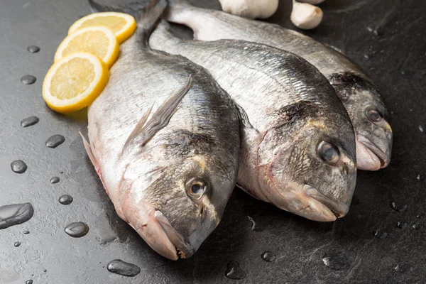 Dorada eviscerada — Foto de Stock