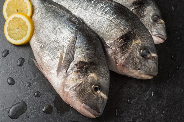 Dorada eviscerada — Foto de Stock