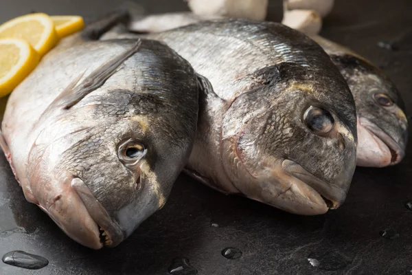 Eviscerated sea bream — Stock Photo, Image