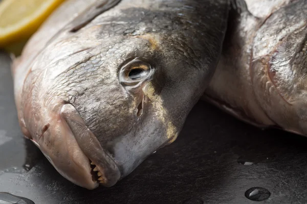 Dorada eviscerada — Foto de Stock