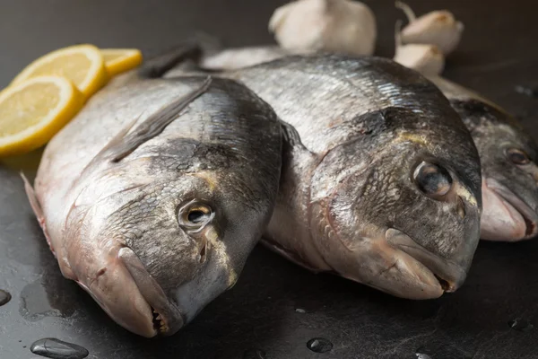 Photos De Eviscere Images De Eviscere Depositphotos