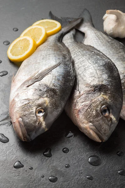 Dorada eviscerada — Foto de Stock