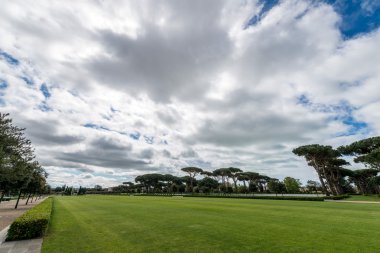 Mavi gökyüzü ile güzel Otlak 