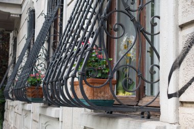 Büyüyen çiçekler ile bina 