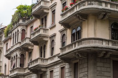 Büyüyen çiçekler ile bina 