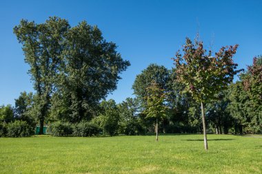 Şehir Parkı görünümünü