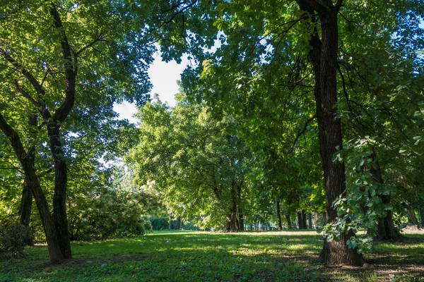 Vue d'un parc municipal — Photo