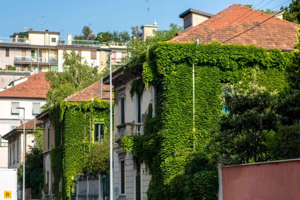 Gebouw met het kweken van planten — Stockfoto