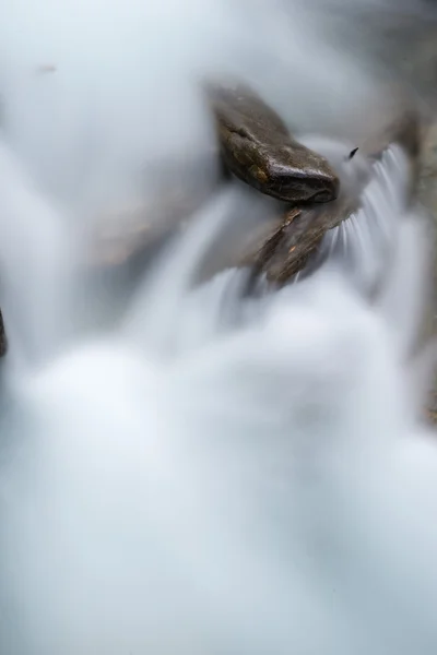 Snelle berg rivier — Stockfoto