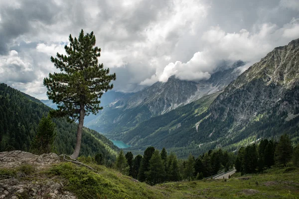 Dağlarda güzel vadi