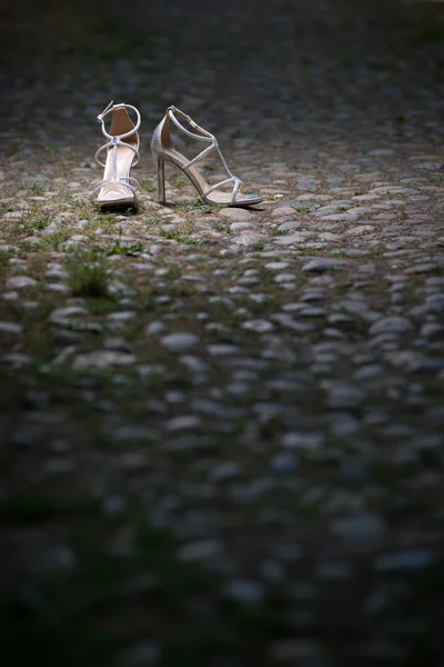 Vrouwelijke zilveren schoenen — Stockfoto