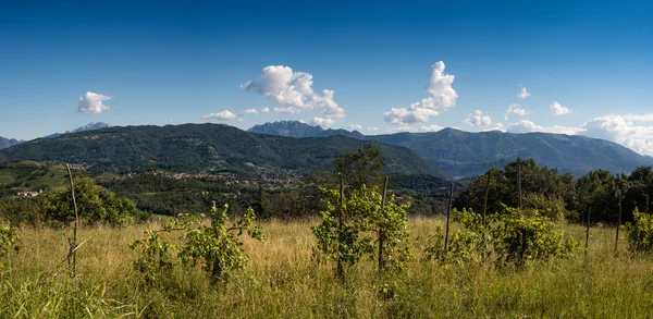 Bella Valle in Montagna — Foto Stock