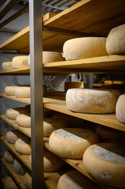 Arka arkaya bir sürü farklı peynir.