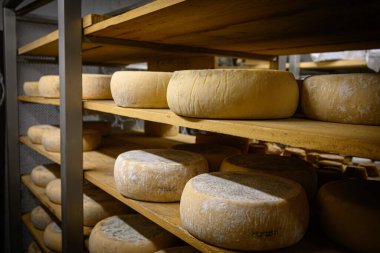 Arka arkaya bir sürü peynir.