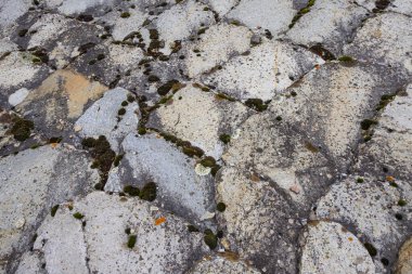 Taş duvar dokusu arkaplanı