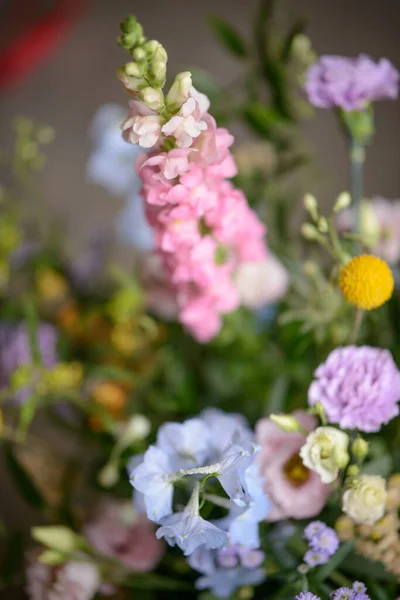 Красивий Букет Диких Квітів Крупним Планом — стокове фото