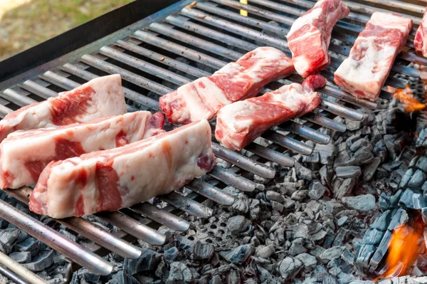 Varkensribbetjes op een grill — Stockfoto